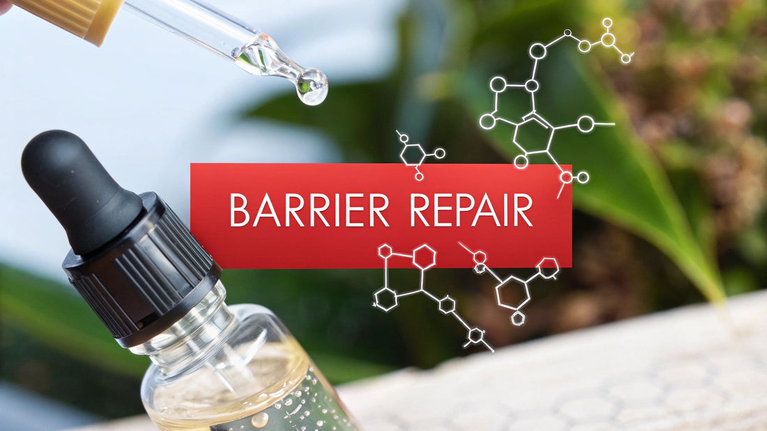 Repairing Skin Barrier: Tips for Healthier, Radiant Skin